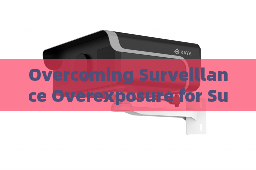 Overcoming Surveillance Overexposure for Suspicious Vessels Under Severe Port Backlight with Strong Light Suppression Imaging