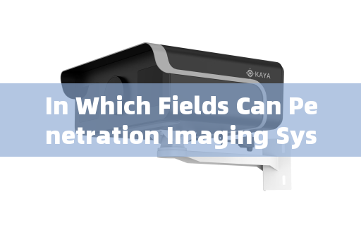 In Which Fields Can Penetration Imaging Systems Be Applied?