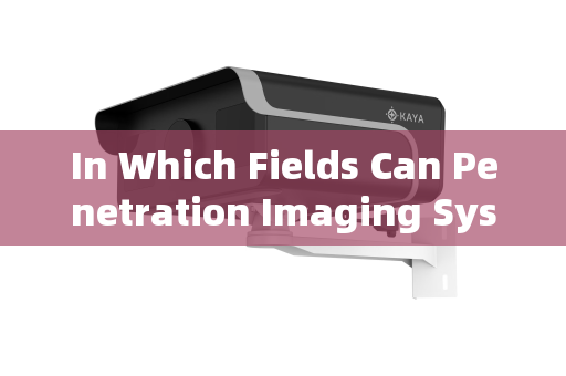 In Which Fields Can Penetration Imaging Systems Be Applied?