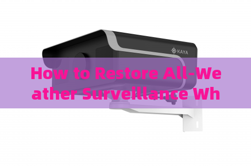 How to Restore All-Weather Surveillance When Checkpoints Fail in Severe Weather