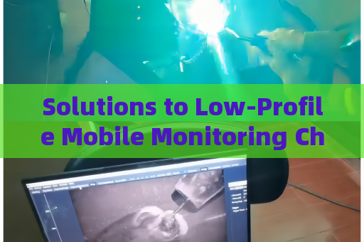 Solutions to Low-Profile Mobile Monitoring Challenges for Trespassers in Foggy Environments with Fog Penetration Imaging