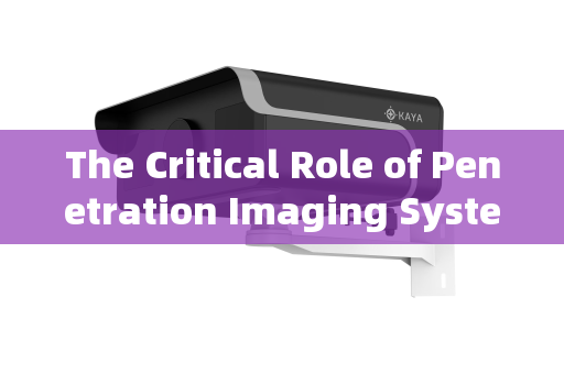 The Critical Role of Penetration Imaging Systems in Dignitary Security Supervision The Critical Role of Penetration Imaging Systems in Dignitary Security Supervision