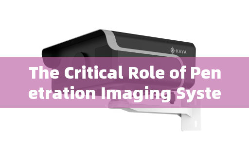 The Critical Role of Penetration Imaging Systems in Dignitary Security Supervision
