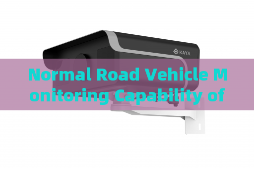 Normal Road Vehicle Monitoring Capability of the Penetration Imager with All-Weather Penetration Technology in Severe Weather