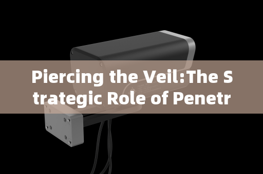 Piercing the Veil:The Strategic Role of Penetration Imaging Systems in Port and Border Security