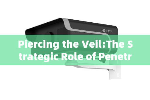 Piercing the Veil:The Strategic Role of Penetration Imaging Systems in Port and Border Security
