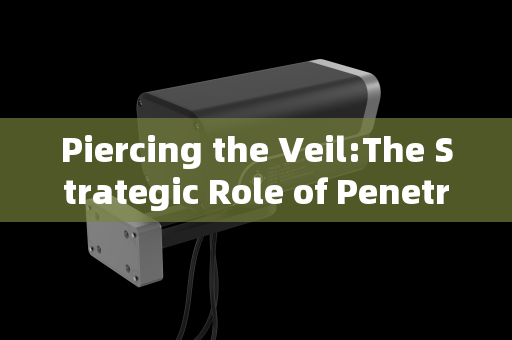 Piercing the Veil:The Strategic Role of Penetration Imaging Systems in Port and Border Security