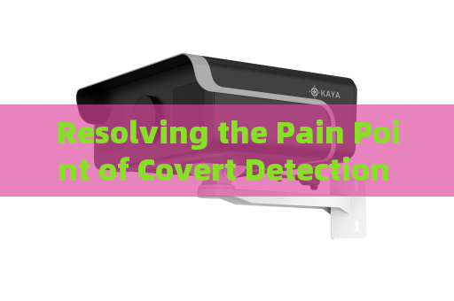 Resolving the Pain Point of Covert Detection for Illegal Vessel Activities