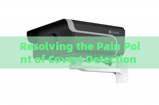 Resolving the Pain Point of Covert Detection for Illegal Vessel Activities