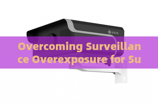Overcoming Surveillance Overexposure for Suspicious Vessels Under Severe Port Backlight with Strong Light Suppression Imaging