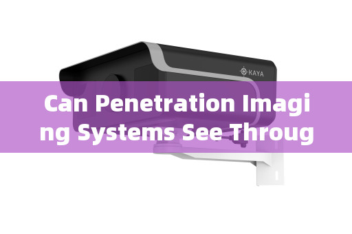 Can Penetration Imaging Systems See Through Smoke in Fire Rescue Operations?