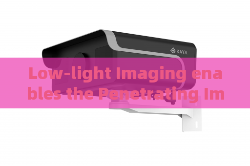Low-light Imaging enables the Penetrating Imager to carry out patrols on unlit rural roads