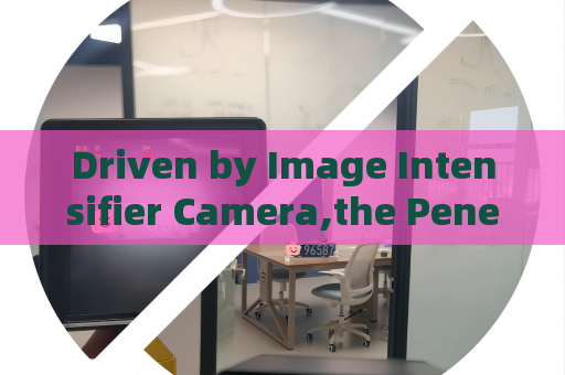 Driven by Image Intensifier Camera,the Penetrating Imager supports all-night vehicle security screening at military ports.