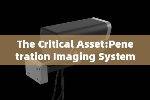 The Critical Asset:Penetration Imaging Systems in Modern VIP Security and Surveillance
