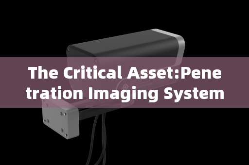 The Critical Asset:Penetration Imaging Systems in Modern VIP Security and Surveillance