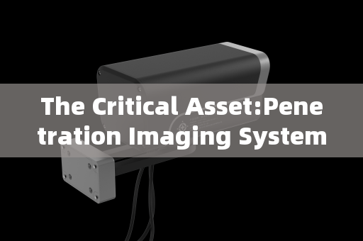 The Critical Asset:Penetration Imaging Systems in Modern VIP Security and Surveillance